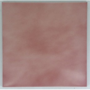 30x30 Ethereal Shaded Pink